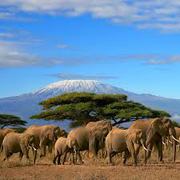 24/7/365 Climbing Kilimanjaro Via Machame Route 2015
