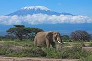 Climbing Mount Kilimanjaro Via Machame Route
